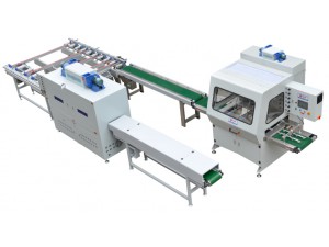 線條自動(dòng)噴涂線(D線)